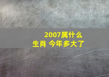 2007属什么生肖 今年多大了